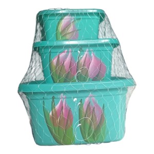 CJ POTE PLÁSTICO DECORADO QUADRADO (PMG)